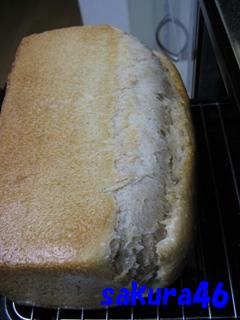 ７２回目食パン