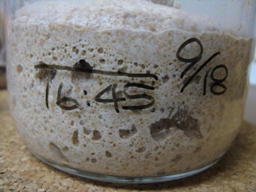 レーズン酵母の粉つなぎ