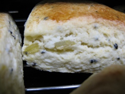 焼き芋スコーン