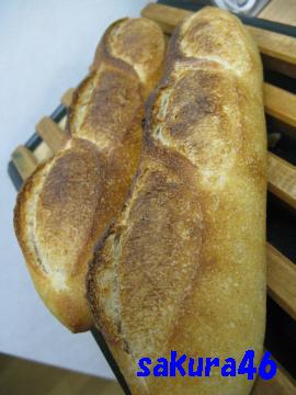 ５９回目フランスパン
