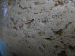 レーズン酵母間もなく完成！