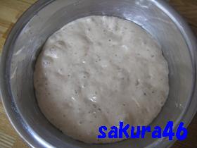 ５９回目フランスパン前種醗酵後