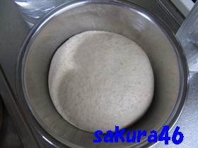 ５９回目フランスパン１次発酵中パンチ前