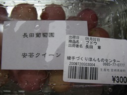 綾のぶどう（安芸クイーン）