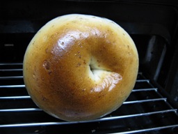 プレーンベーグル