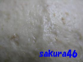 ５９回目フランスパンパンチ後の生地