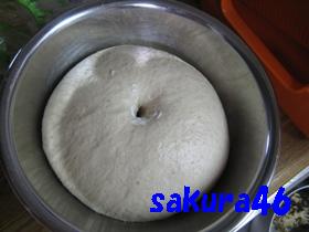 ５９回目フランスパン１次発酵あがり