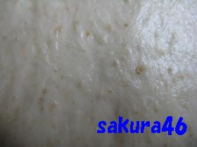 ５９回目フランスパン１次発酵あがりの生地