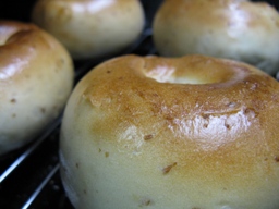 プレーンベーグル