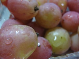 綾のぶどう　安芸クイーン