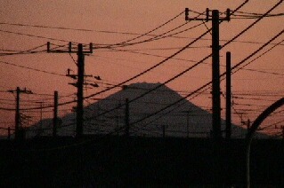 fuji