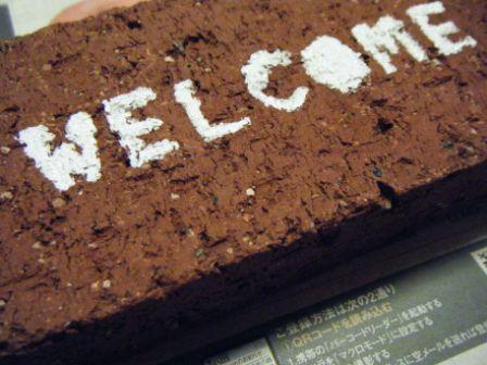 レンガペイント