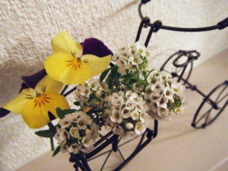 花自転車