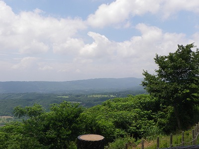 IMGP0229.jpg