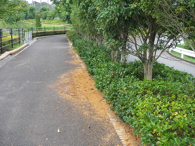 IMGP0660.jpg