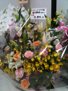 おしゃべり　ボクサー