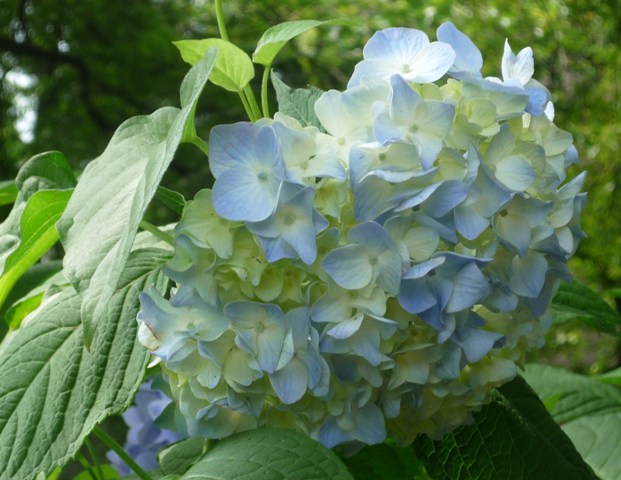 07-0502