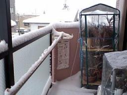 2011大雪3.jpg