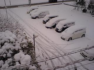 2011大雪5.jpg