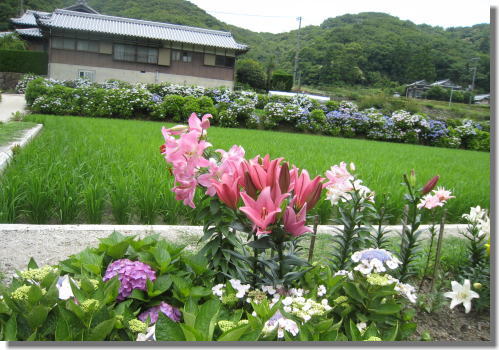 花山水ー5.jpg