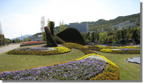 明石海峡公園ー4.jpg