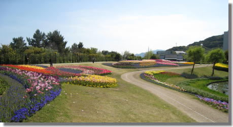 明石海峡公園ー5.jpg