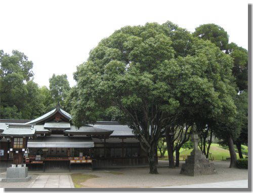 出水神社.jpg