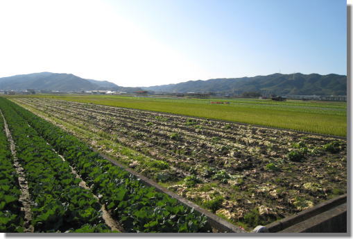 田園風景.jpg