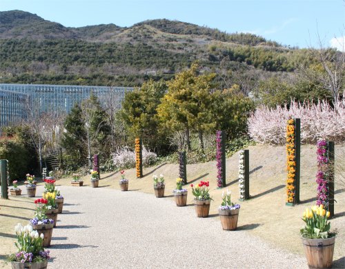 明石海峡公園