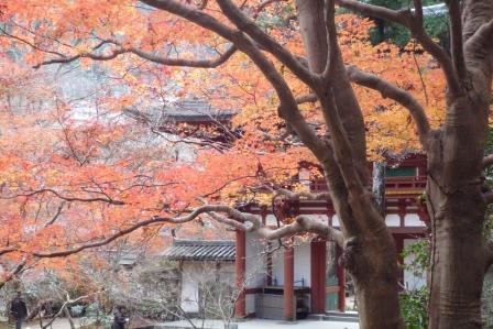 P1060990室生寺.JPG