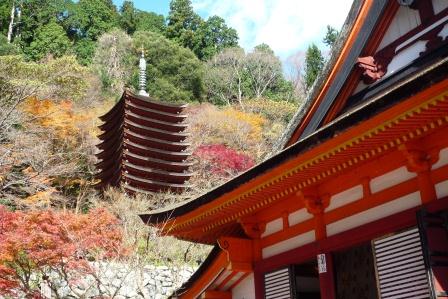 P1060977神社.JPG