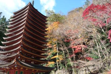 P1060972神社.JPG