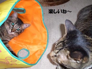 8月28日.jpg