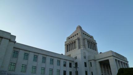 tokyo2010.12.25-kokkai-a.jpg