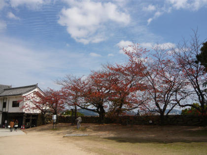 himeji-kouyou.jpg