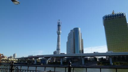 tokyo2010.12.25-skytryy-a.jpg