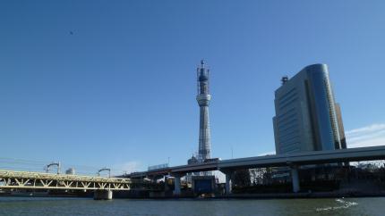 tokyo2010.12.25-skytryy-c.jpg