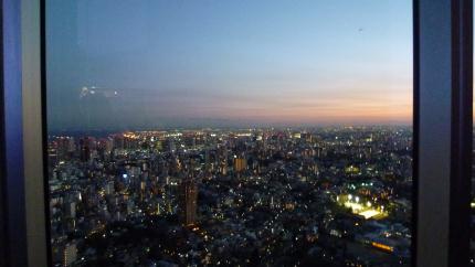 tokyo2010.12.25-yakei-a.jpg