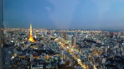 tokyo2010.12.25-yakei-b.jpg