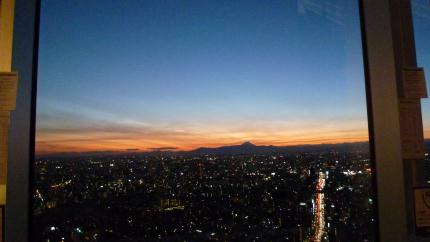 tokyo2010.12.25-yakei-e.jpg