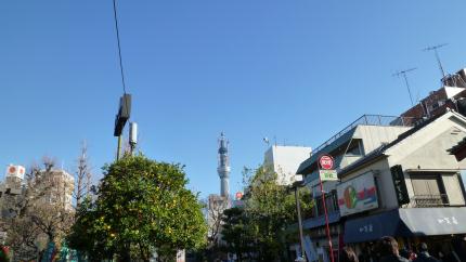 tokyo2010.12.25-asakusa-f.jpg