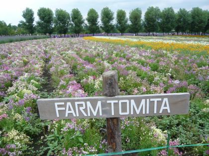 farm tomita-a.jpg