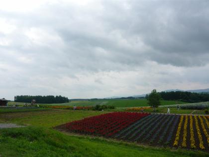 biei2010.7.18-c.jpg