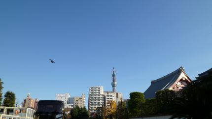 tokyo2010.12.25-asakusa-skytryy-b.jpg