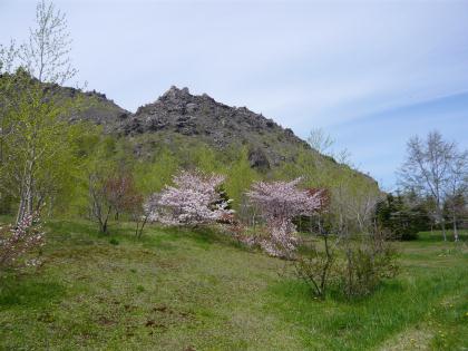 touya-usuzan2010.5.29-sakura-c.jpg