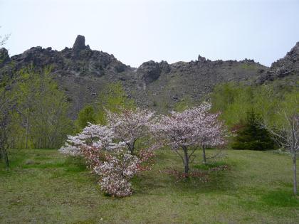 touya-usuzan2010.5.29-sakura-b.jpg