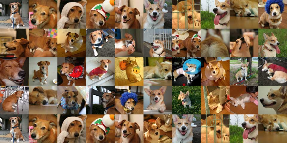 がく＆うらコラージュ