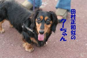 クーちゃんでぇす