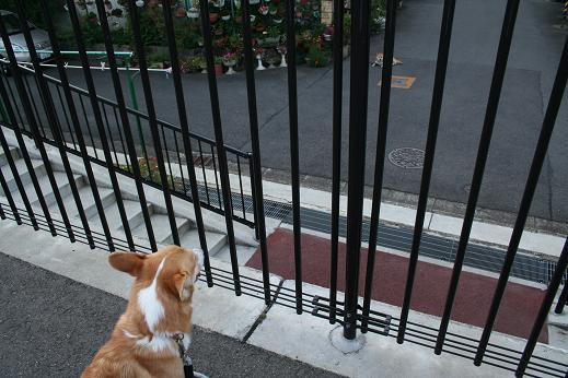 お久しぶりです