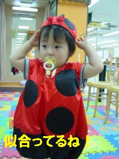 天道虫の龍乃介君０５０５２５